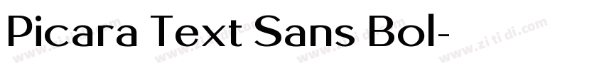 Picara Text Sans Bol字体转换